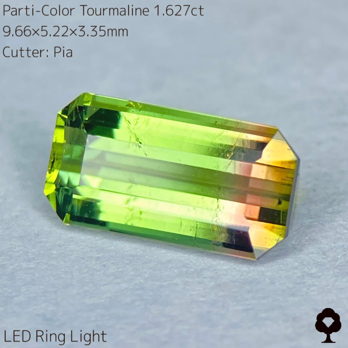 一期一会のパーティカラートルマリン1.627ct 緑赤黄のがキレイでレアな