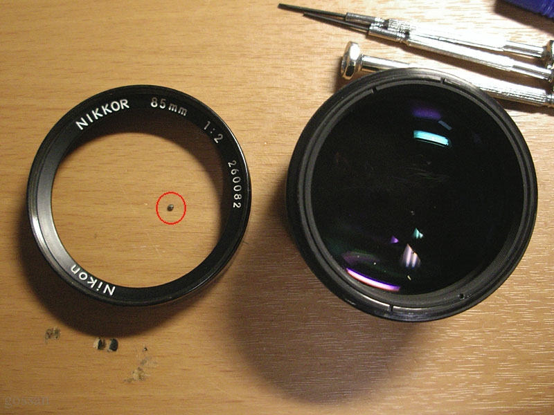 Ai Nikkor 85mm F2をメンテ＆試写: ごっさん居眠り中