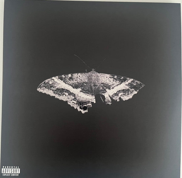 Kendrick Lamar – To Pimp A Butterfly - 2x LP Vinyl Record - Grass