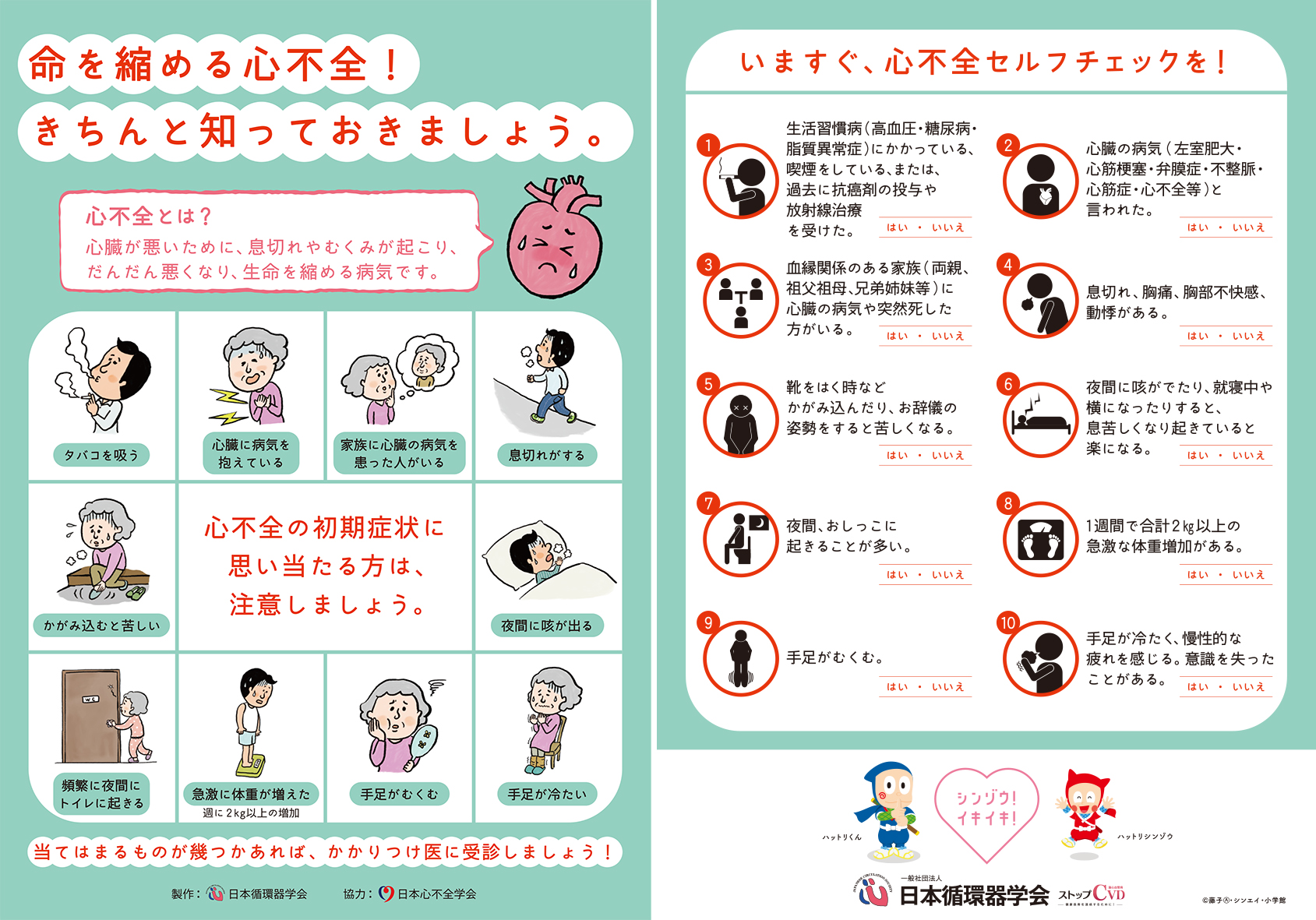 心臓ドック｜健康診断・企業健診｜HITO病院 | 愛媛県四国中央市