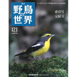 週刊「野鳥の世界」ついに完結！！: 営業日は毎日更新！ホビーズ