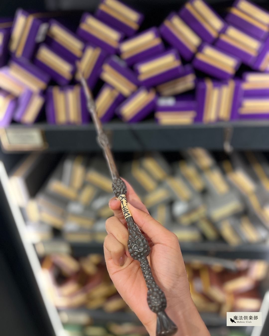 完全版】ハリーポッター｜魔法の杖の種類と持ち主まとめ【素材・芯・長