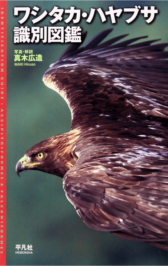 ワシタカ・ハヤブサ識別図鑑詳細情報【野鳥】 - 図鑑.jp