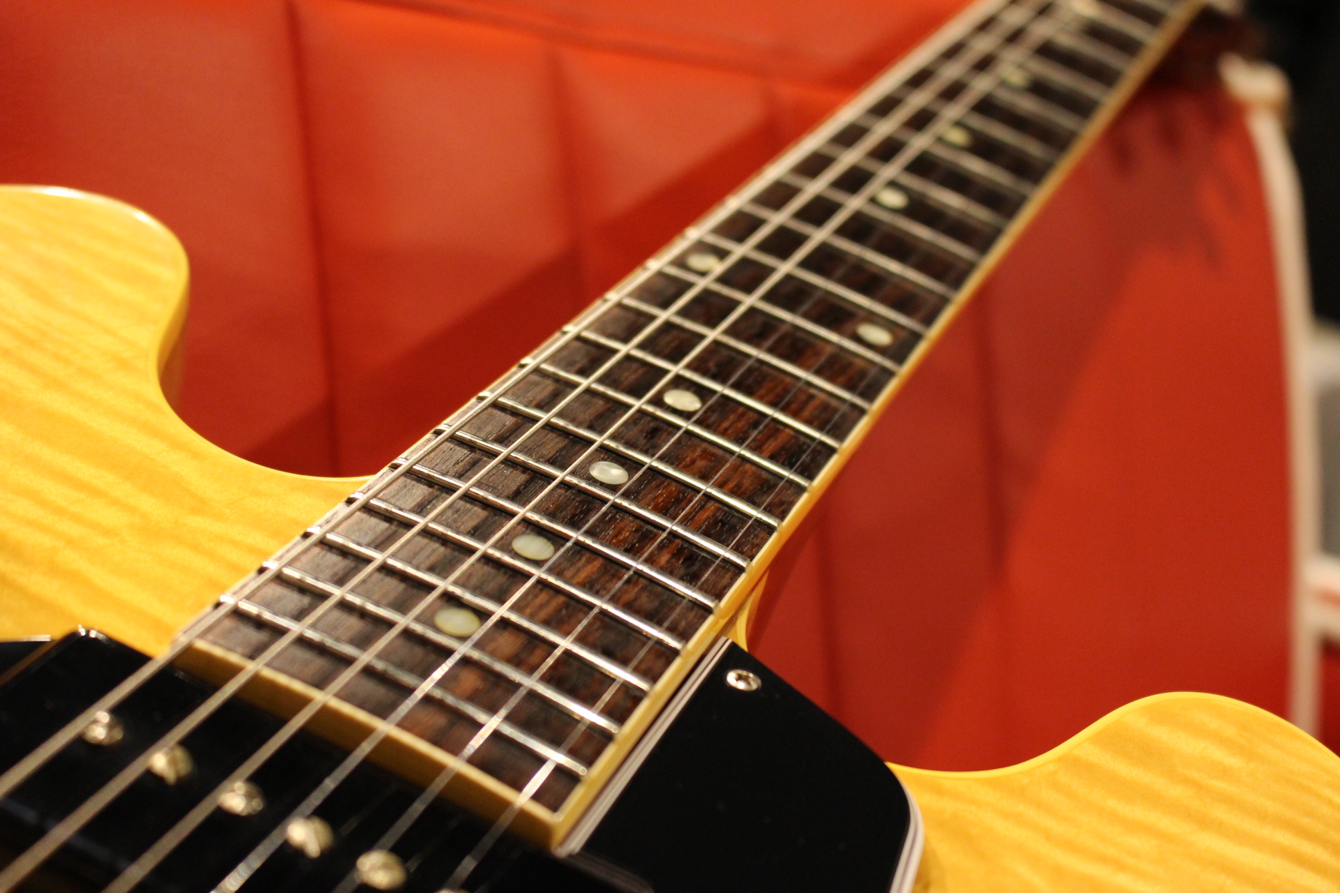 FG_Collection】薄ボディ×フルアコの軽量で使いやすいハコモノ