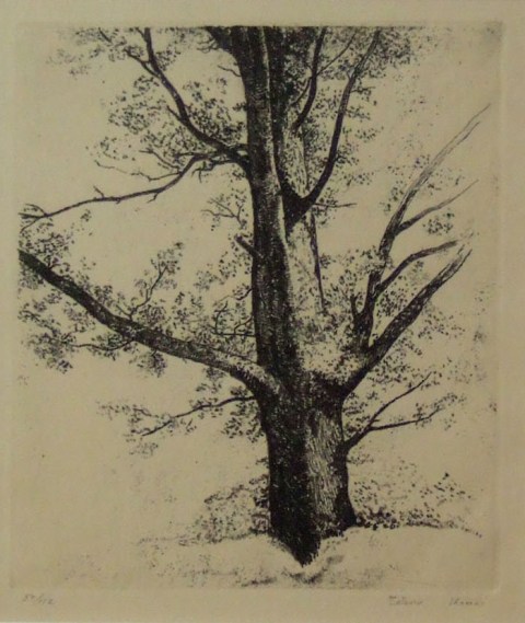 ときの忘れもの エッセイ 駒井哲郎を追いかけて