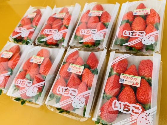 岩槻いちごファームNakaiwa 営業日・概要