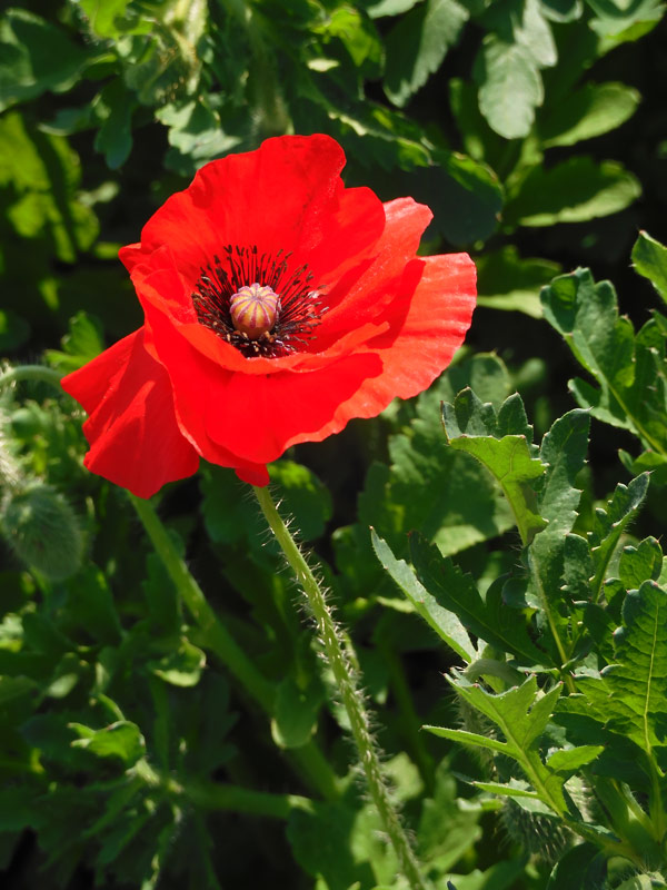 2022年05月09日の記事 | K U R A D A S H I