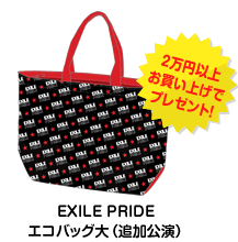 EXILE LIVE TOUR 2013 