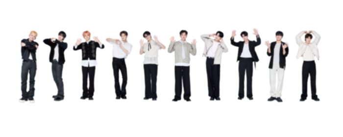 トレーディングカードC（ランダム全10種）｜TREASURE｜mu-moショップ