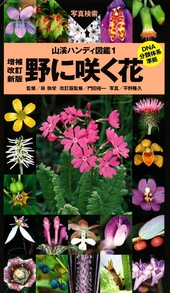 山溪ハンディ図鑑1 野に咲く花 増補改訂新版 | 山と溪谷社