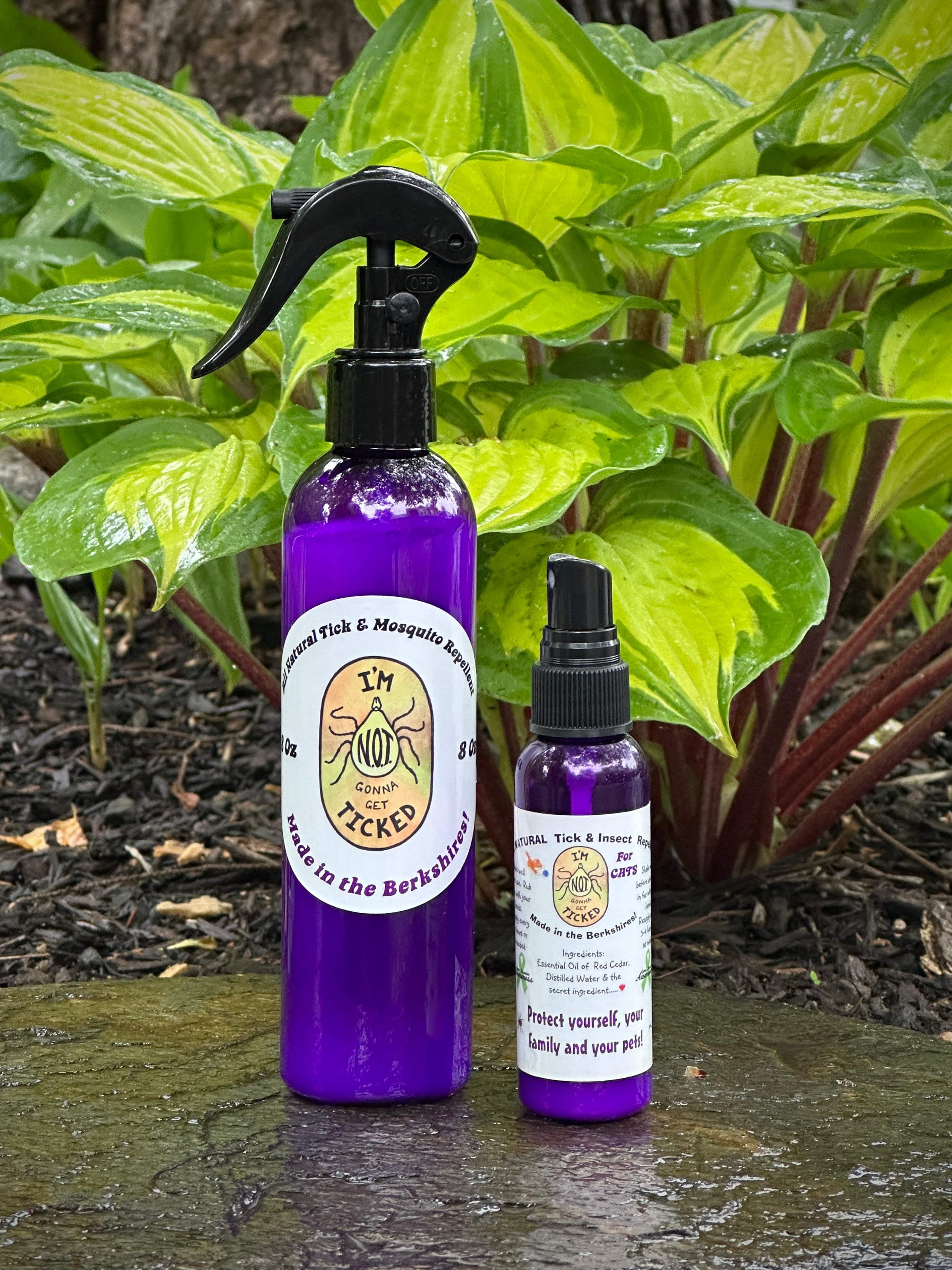 All Natural Tick and Mosquito Repellent, Cedar – I'm N.O.T. Gonna