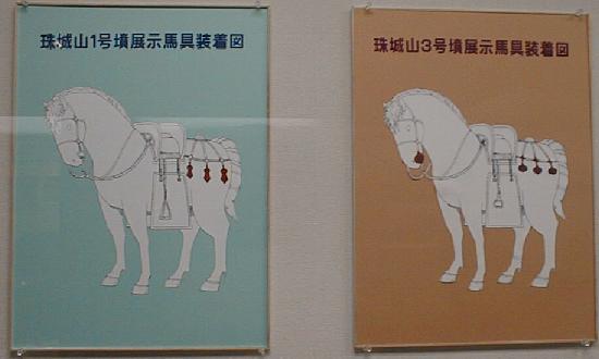 古墳時代を駆けた馬