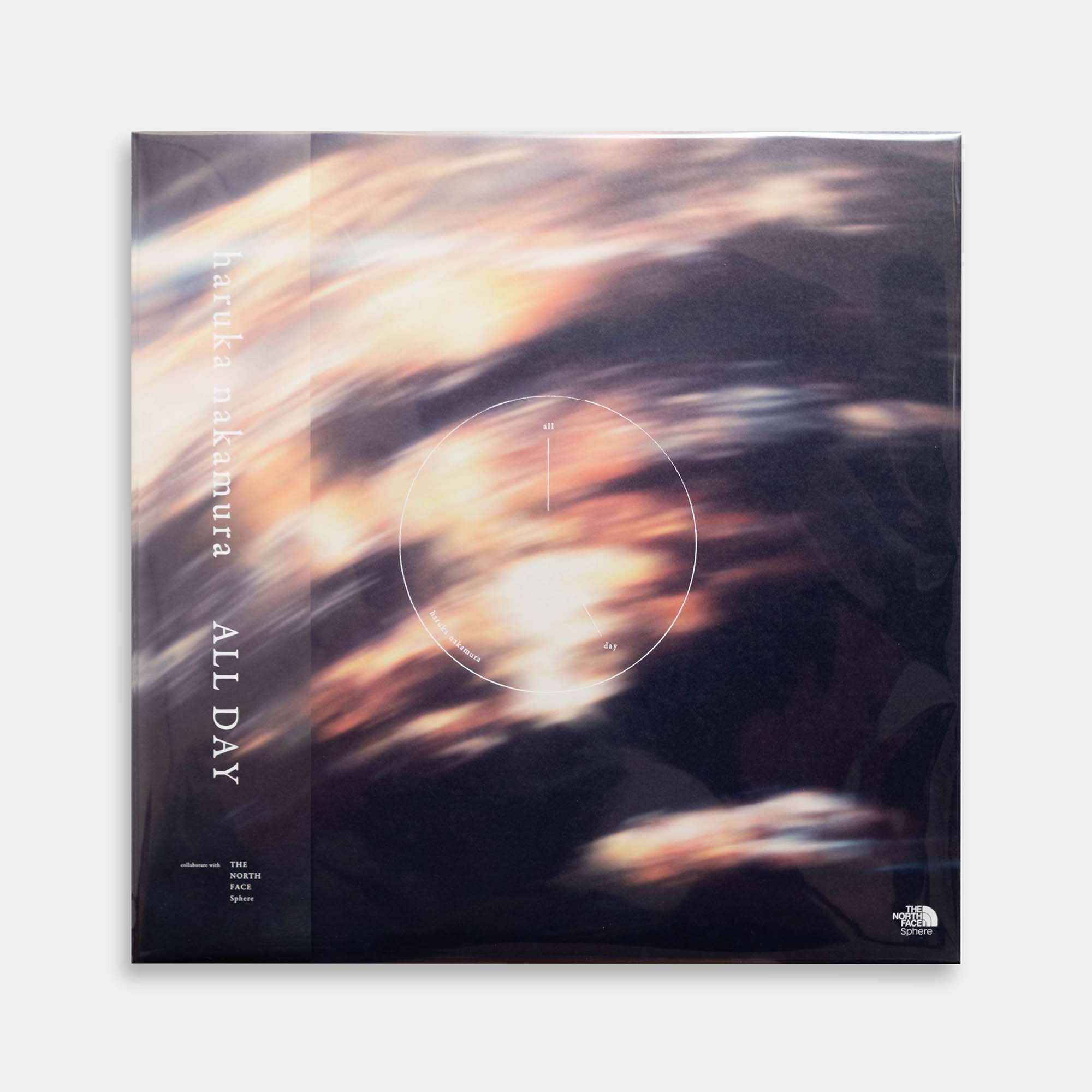 haruka nakamura - ALL DAY【レコード】 – Staghorn Records