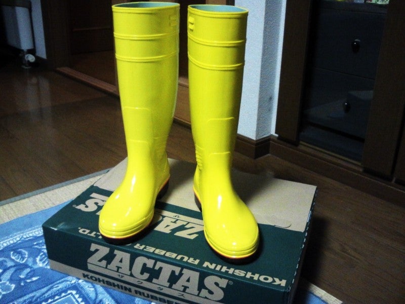 ザクタス・イエロー | ☆プロフェッショナルFarmman・こうへいのブログ☆