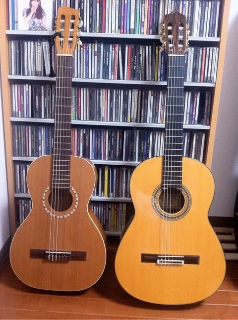 Art & Lutherie / Ami Nylon Cedar | chicken skin musiQ