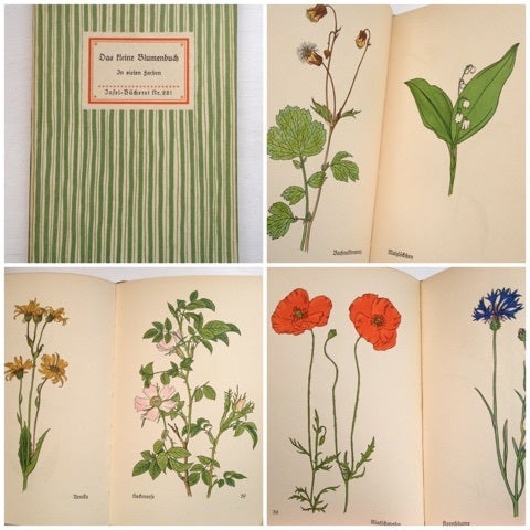○ドイツの野花を集めた植物図鑑☆インゼル文庫281☆ヴィンテージ洋書