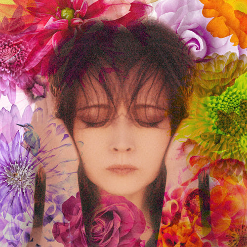 中森明菜 / FIXER【CD】【UHQCD】 – UNIVERSAL MUSIC STORE