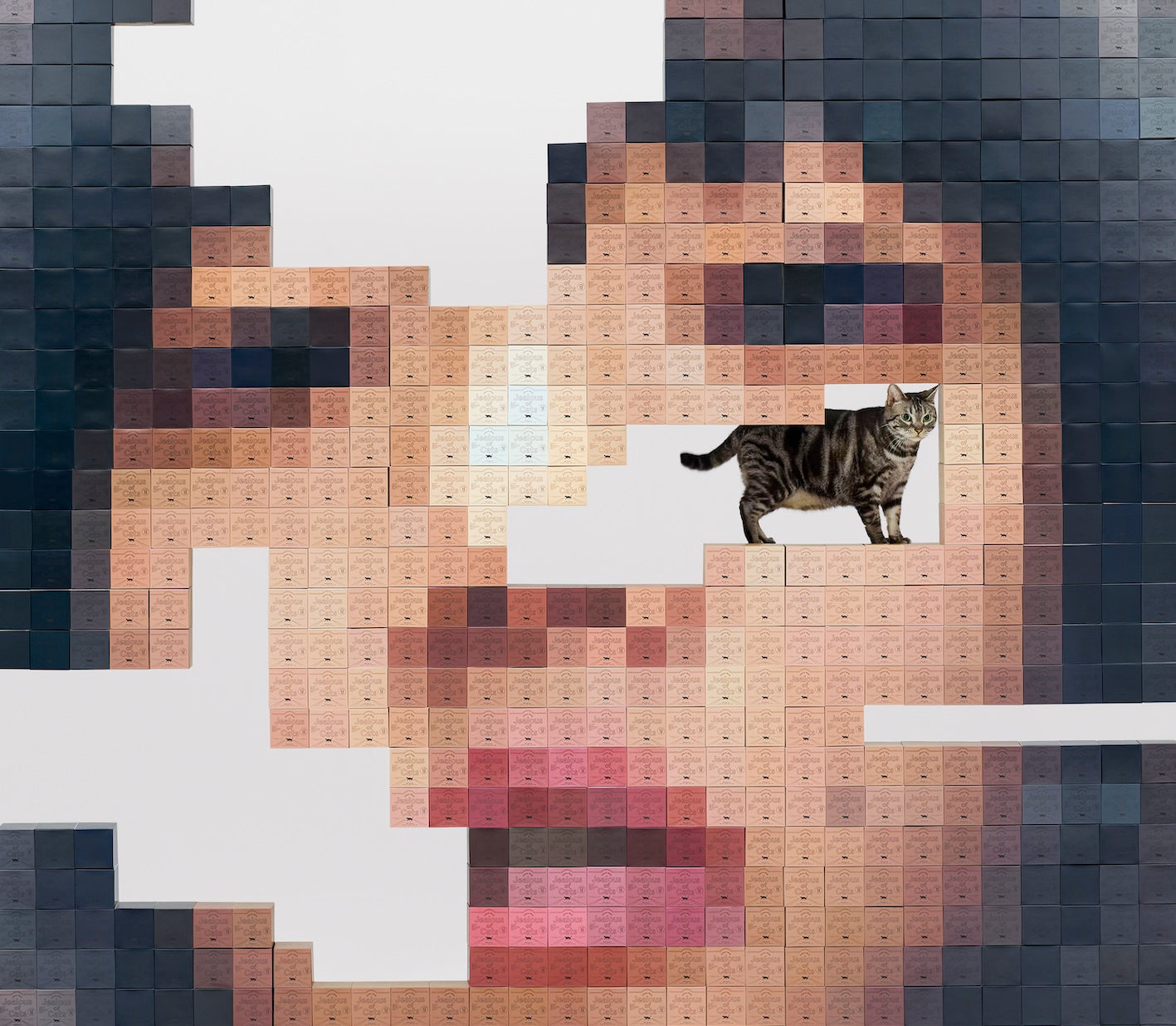 猫にジェラシー（初回限定Blu-ray盤） – ワーナーミュージック・ストア