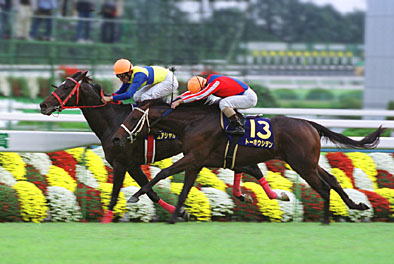 エアシャカール菊花賞