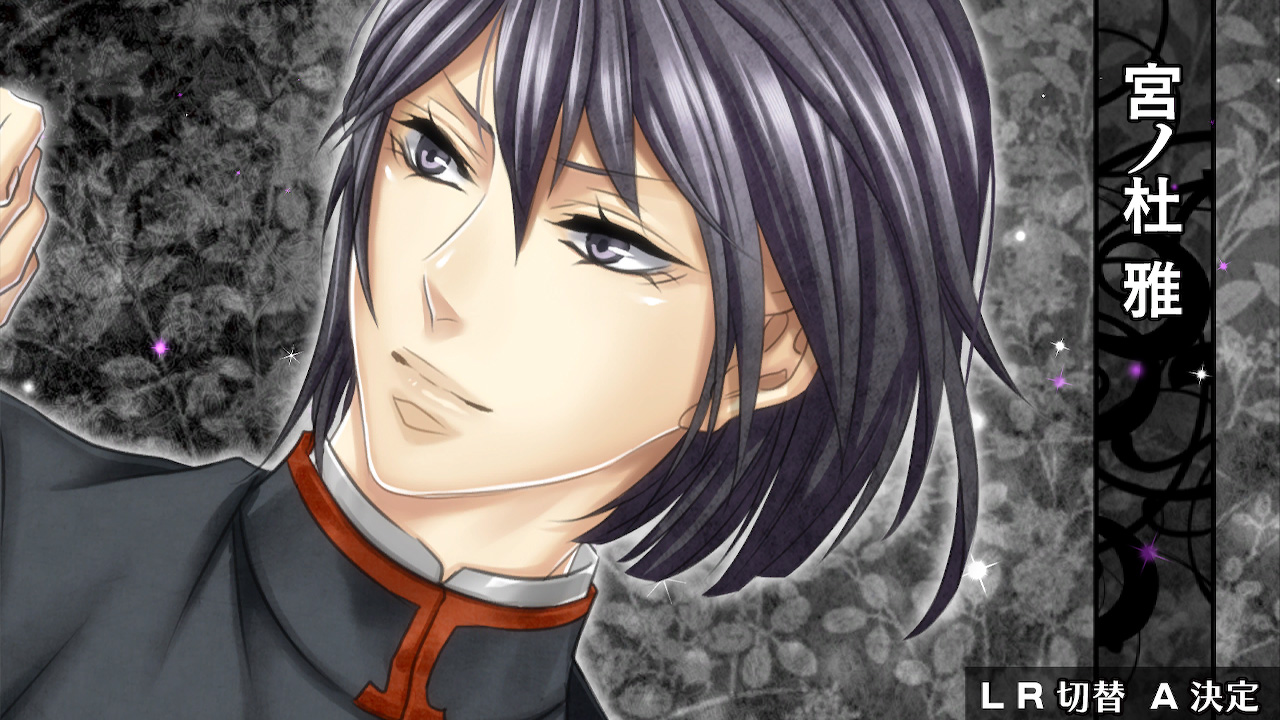 華ヤカ哉、我ガ一族 幻燈ノスタルジィ for Nintendo Switch 俺のSwitchメモ