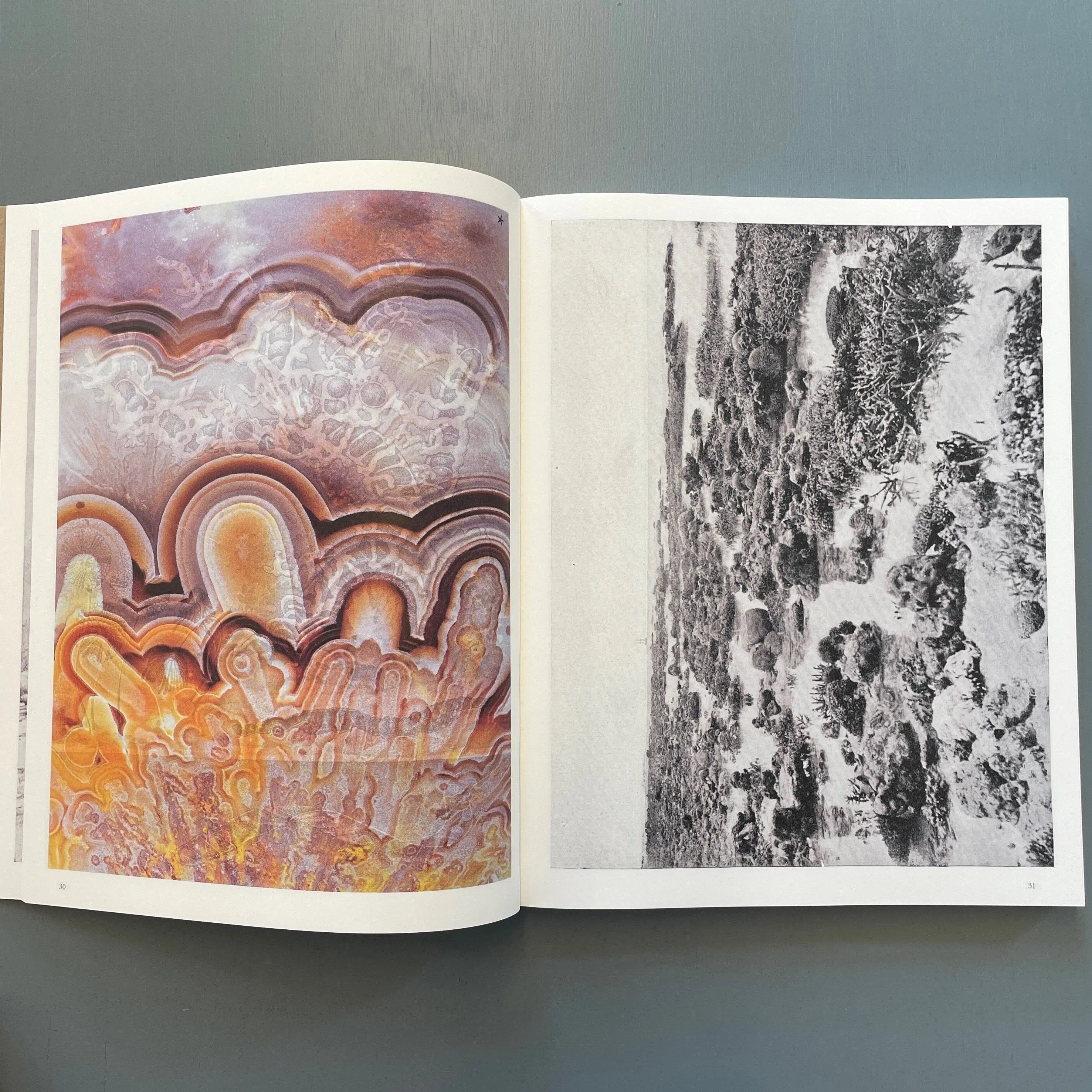 Batia-Suter---Hexamiles-_Mont-