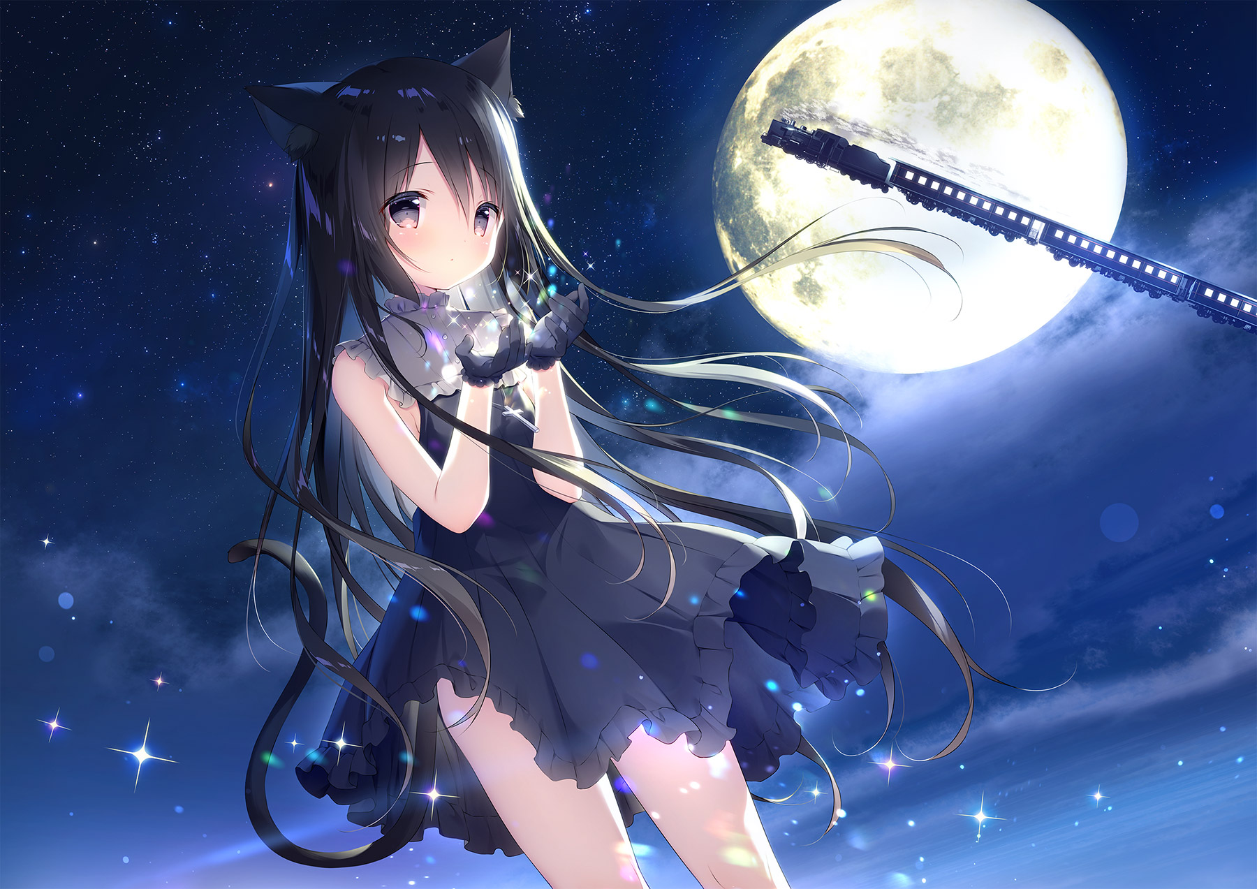 星空鉄道とシロの旅 | サークルしらたまこ