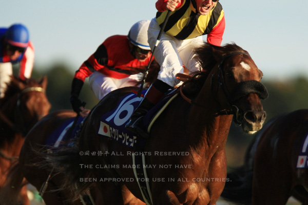 第28回（2008年）ジャパンカップ回顧 M.デムーロ騎乗・スクリーン