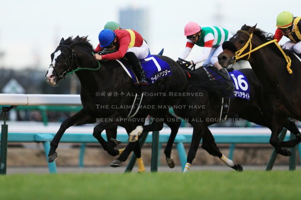 第60回有馬記念 吉田隼人騎乗・ゴールドアクター優勝 – The 岡田修平