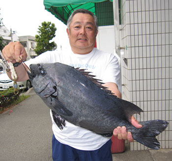 園田釣具店 鹿児島県 枕崎市 中央町264