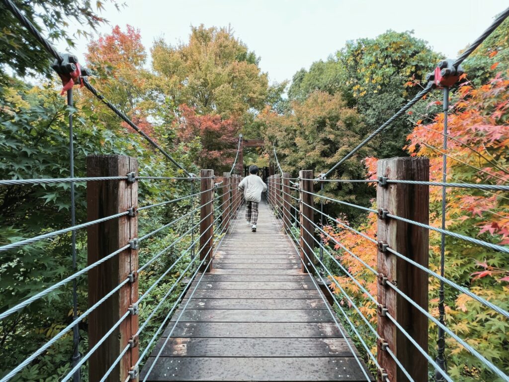万博公園で森の空中散歩ができる「空中観察路ソラード」で子どもと気軽