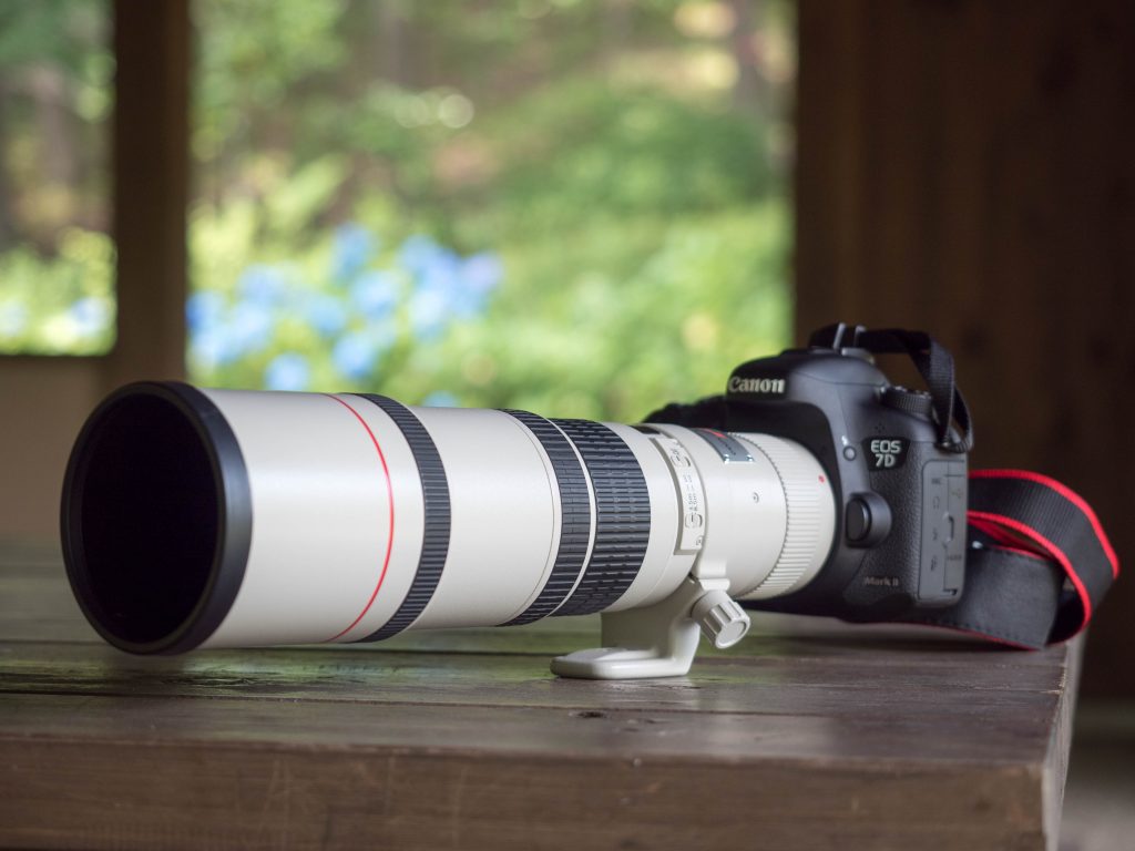 CANON EF400mm F5.6L USM』野鳥撮影でのレビューや作例
