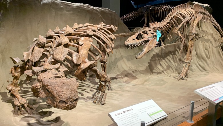 その① カナダの恐竜博物館-1年限定の特別展が開幕