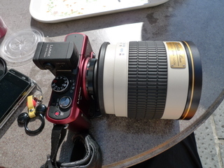 Kenko ミラーレンズ 500mm F6.3 DX: In This Style m4/3