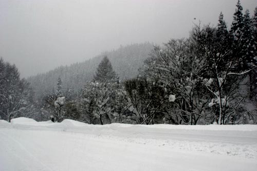 国道257号雪道変