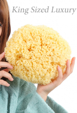 天然海綿スポンジ ＜Grazia グラッツィア＞ 商品一覧 － 海綿屋