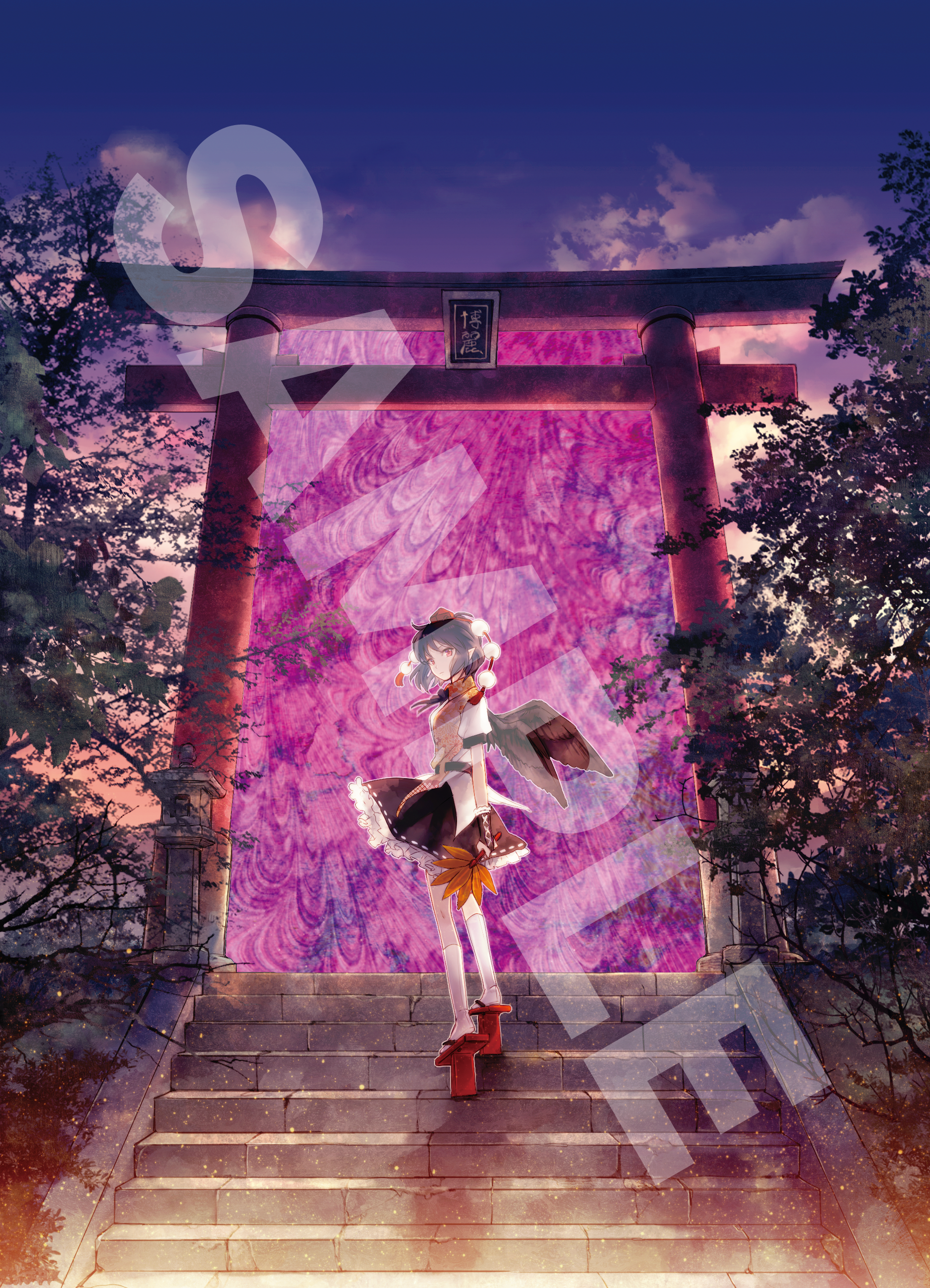 全日本卓球選手権大会優勝 佐藤梨香監督卓球 DVDシリーズ 5巻セット