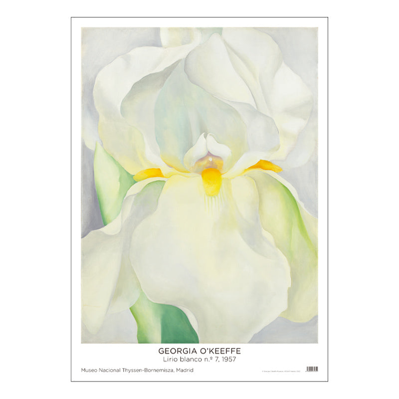 Poster Georgia O'Keeffe: White Lily No. 7