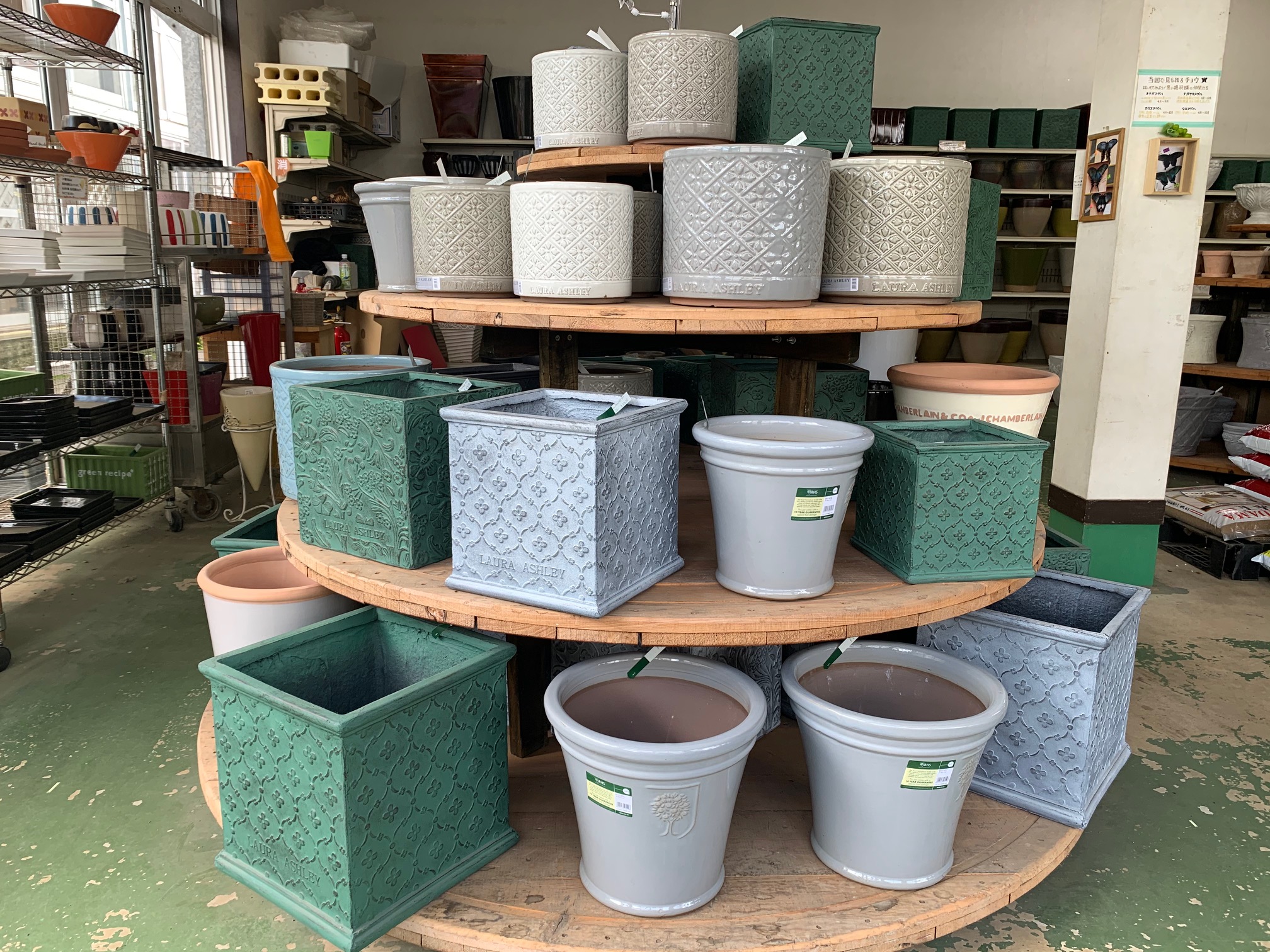 人気のLAURA ASHLEY 新作入荷しました♪ | 所沢園芸