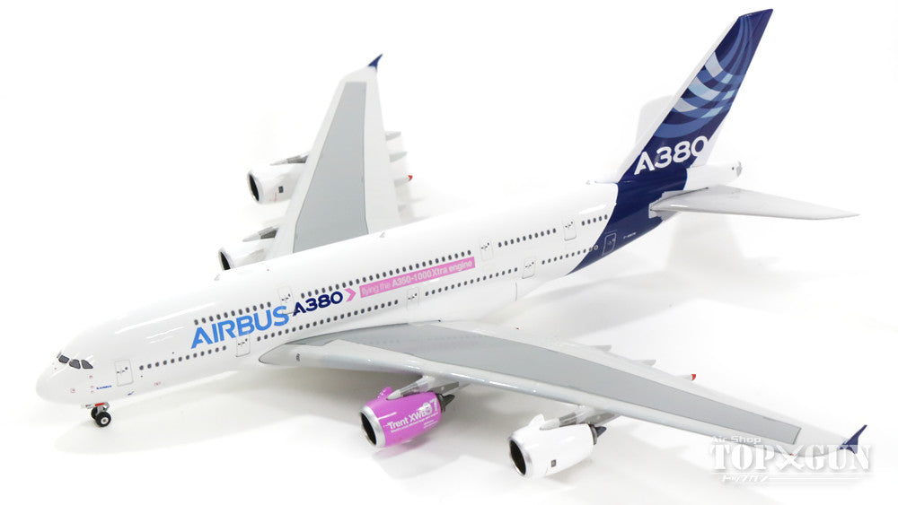 Phoenix A380 エアバス社 ハウスカラー 「Flying the A350-1000 extra