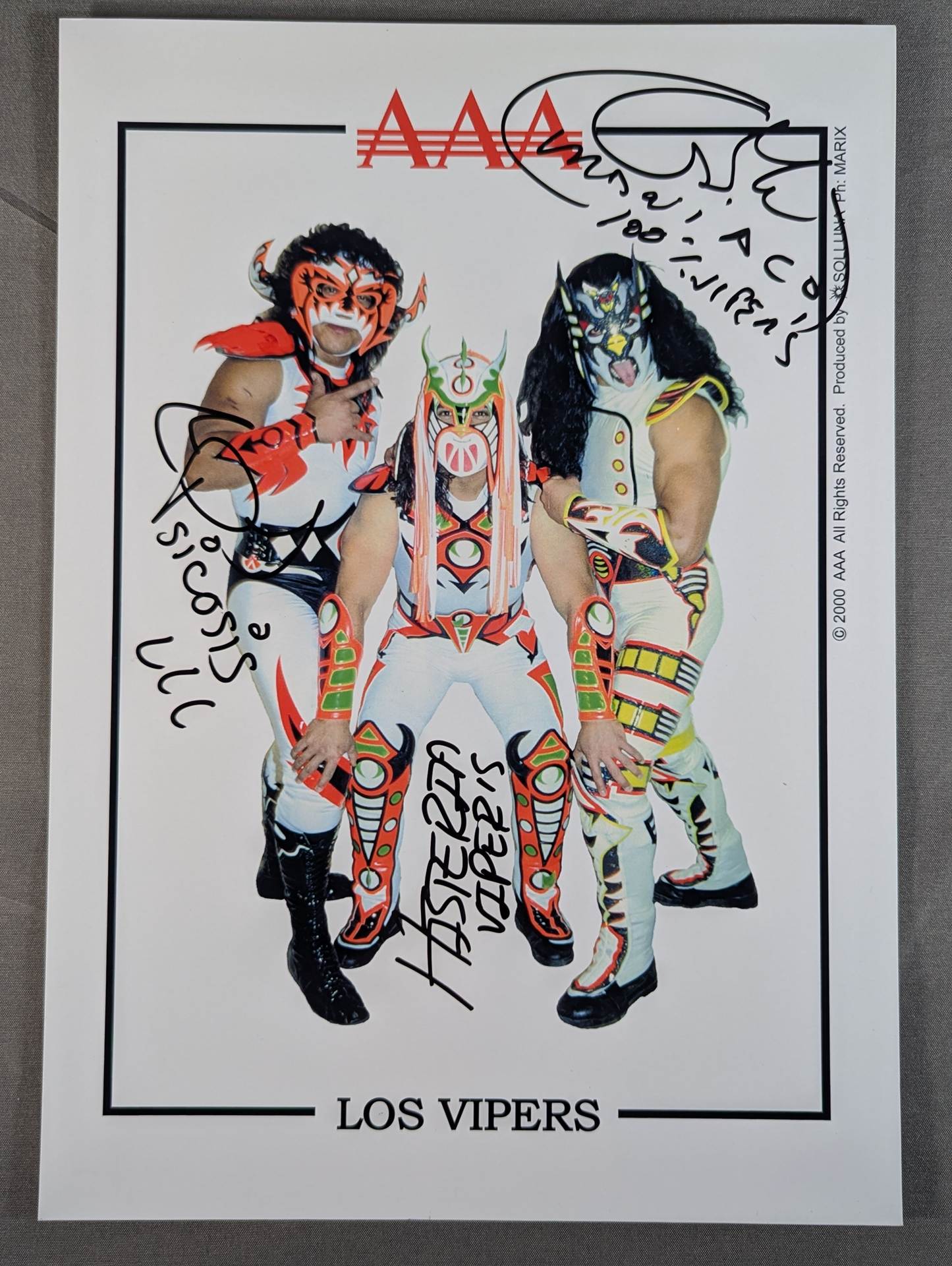 ☆AAA☆ ロス・ワイパーズ 3選手直筆サイン入り ポートレート – 闘道館