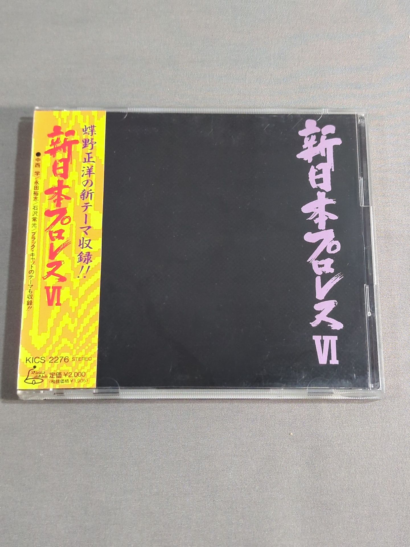 新日本プロレスⅥ – 闘道館