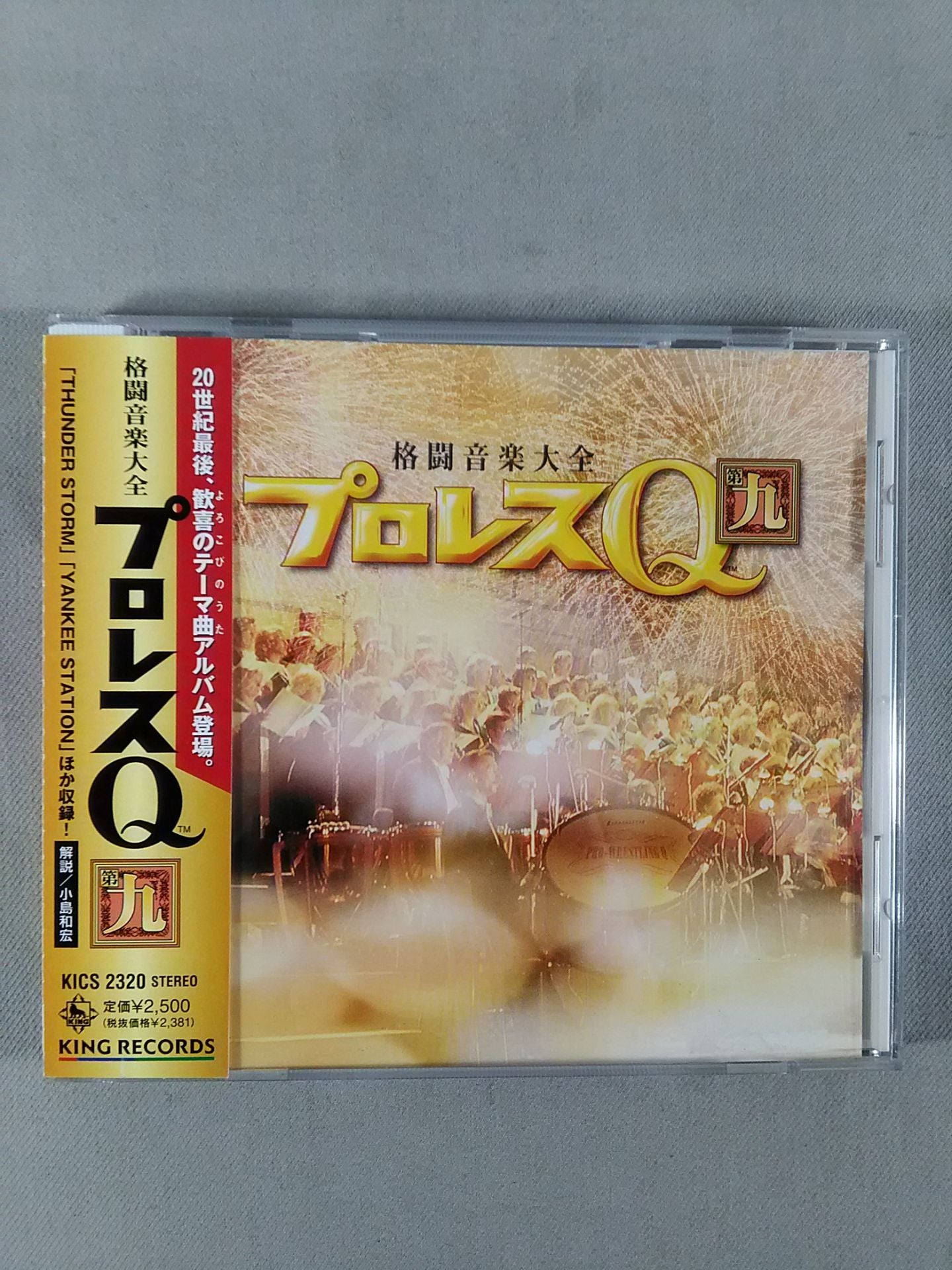 プロレスQ 第9 格闘音楽大全 – 闘道館