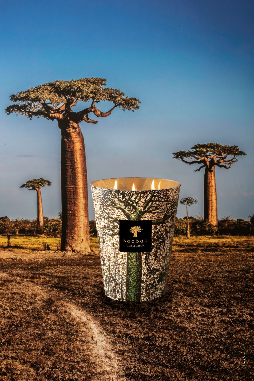 BAOBAB COLLECTION X SACRED TREES – Baobab Collection