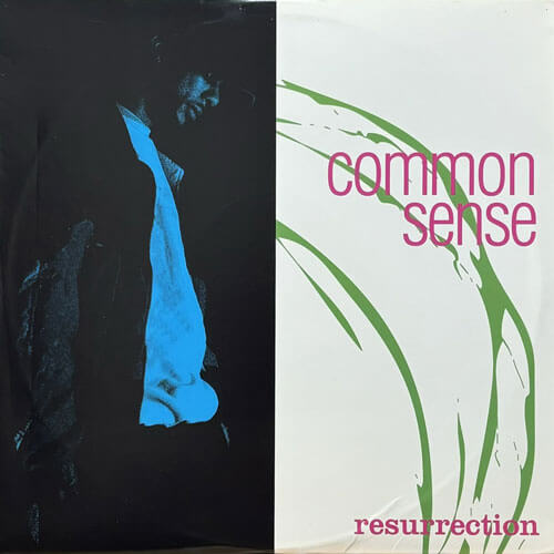 COMMON SENSE / RESURRECTION – VINYL CHAMBER