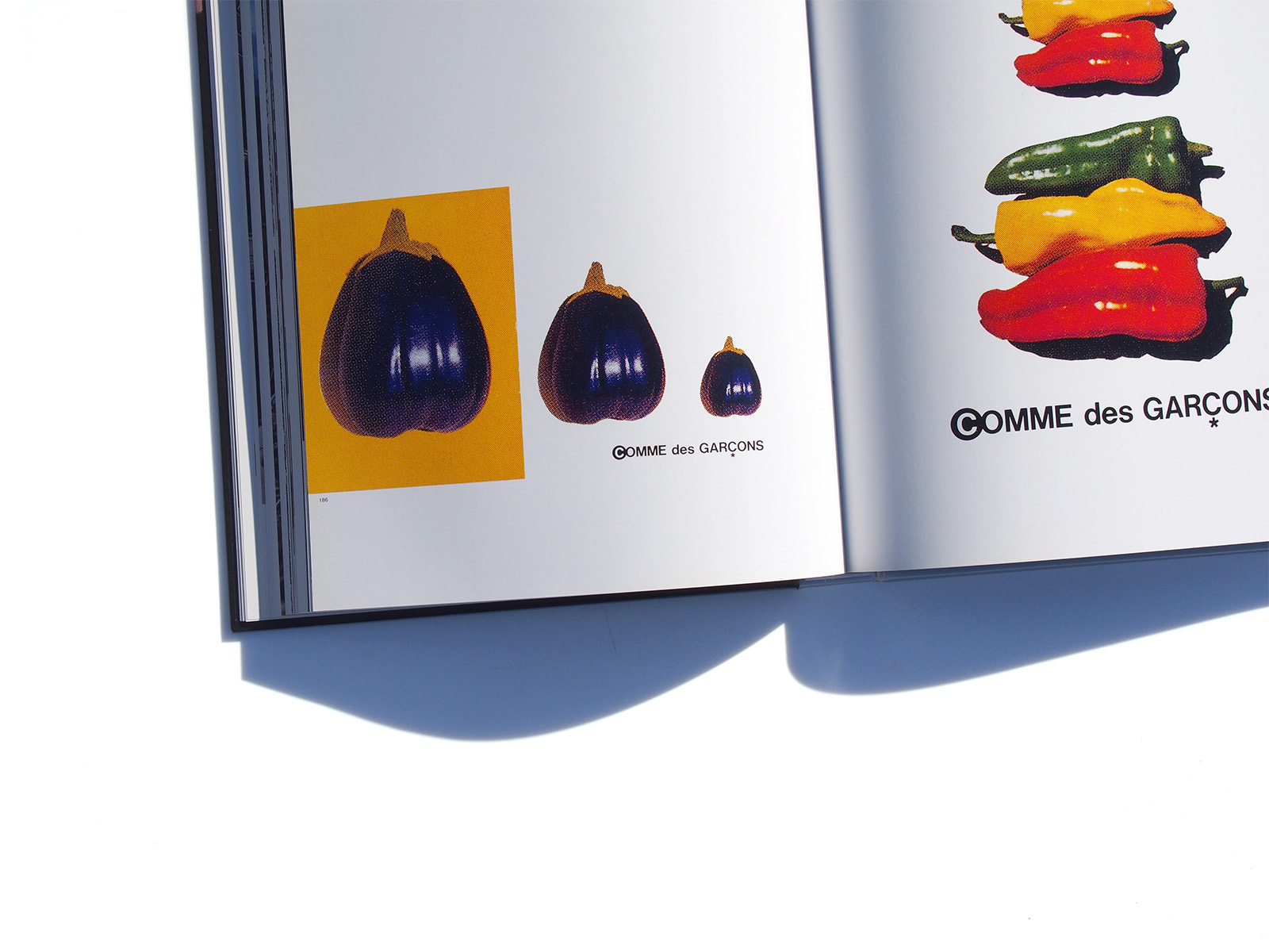 Inoue Tsuguya Graphic Works 1981-2007 | PAGE SPREAD