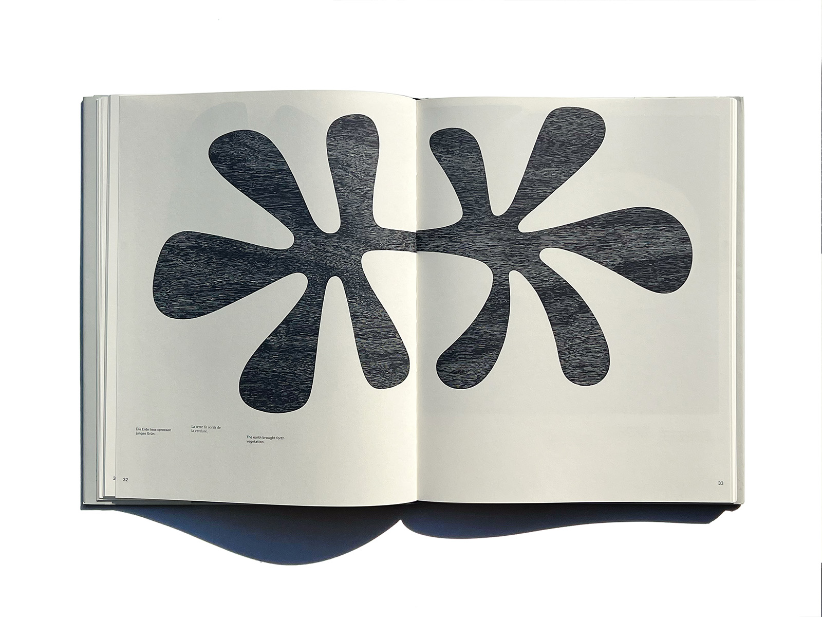 Adrian Frutiger Forms and Counterforms | PAGE SPREAD
