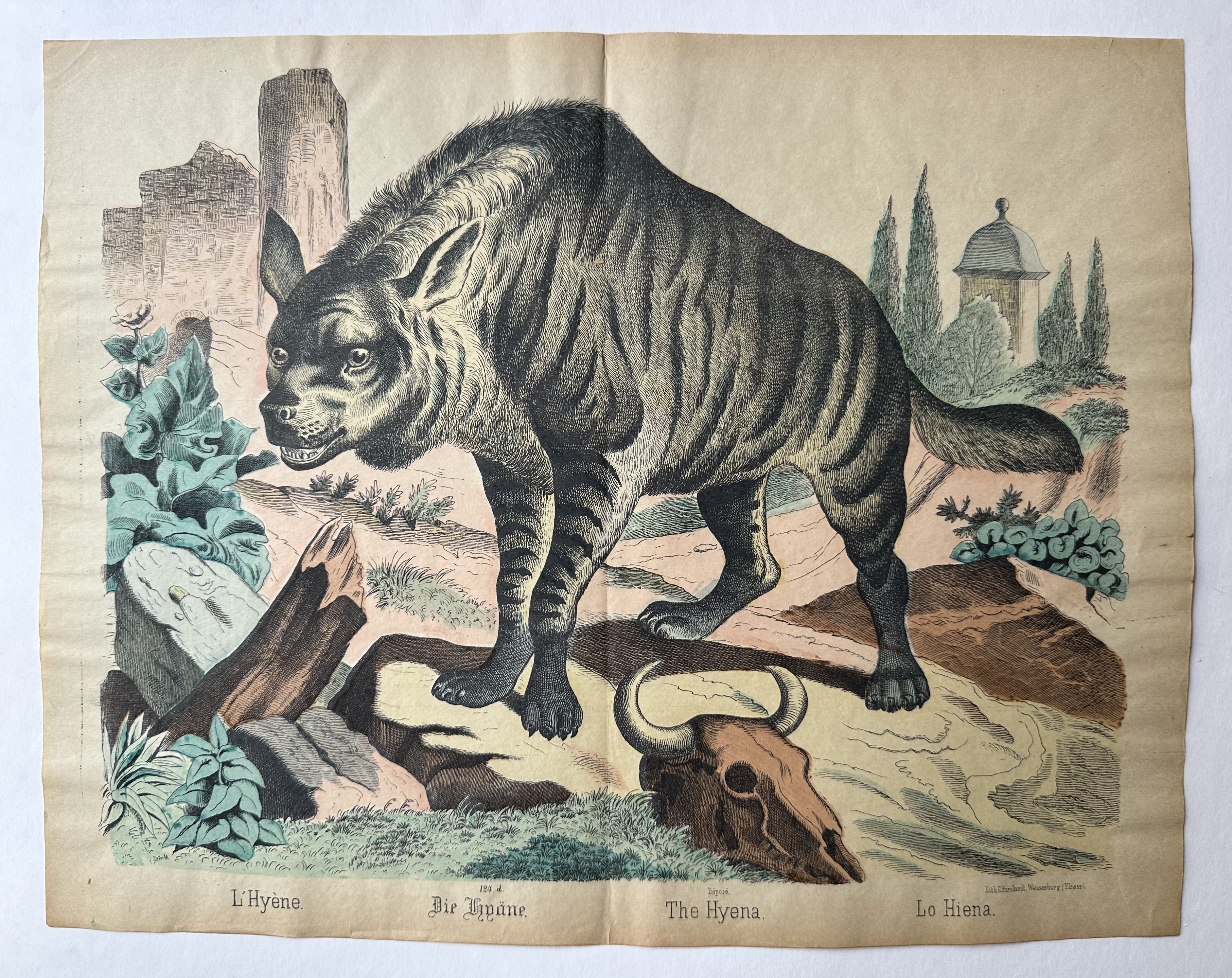 The Hyena No. 124 – Poster Museum