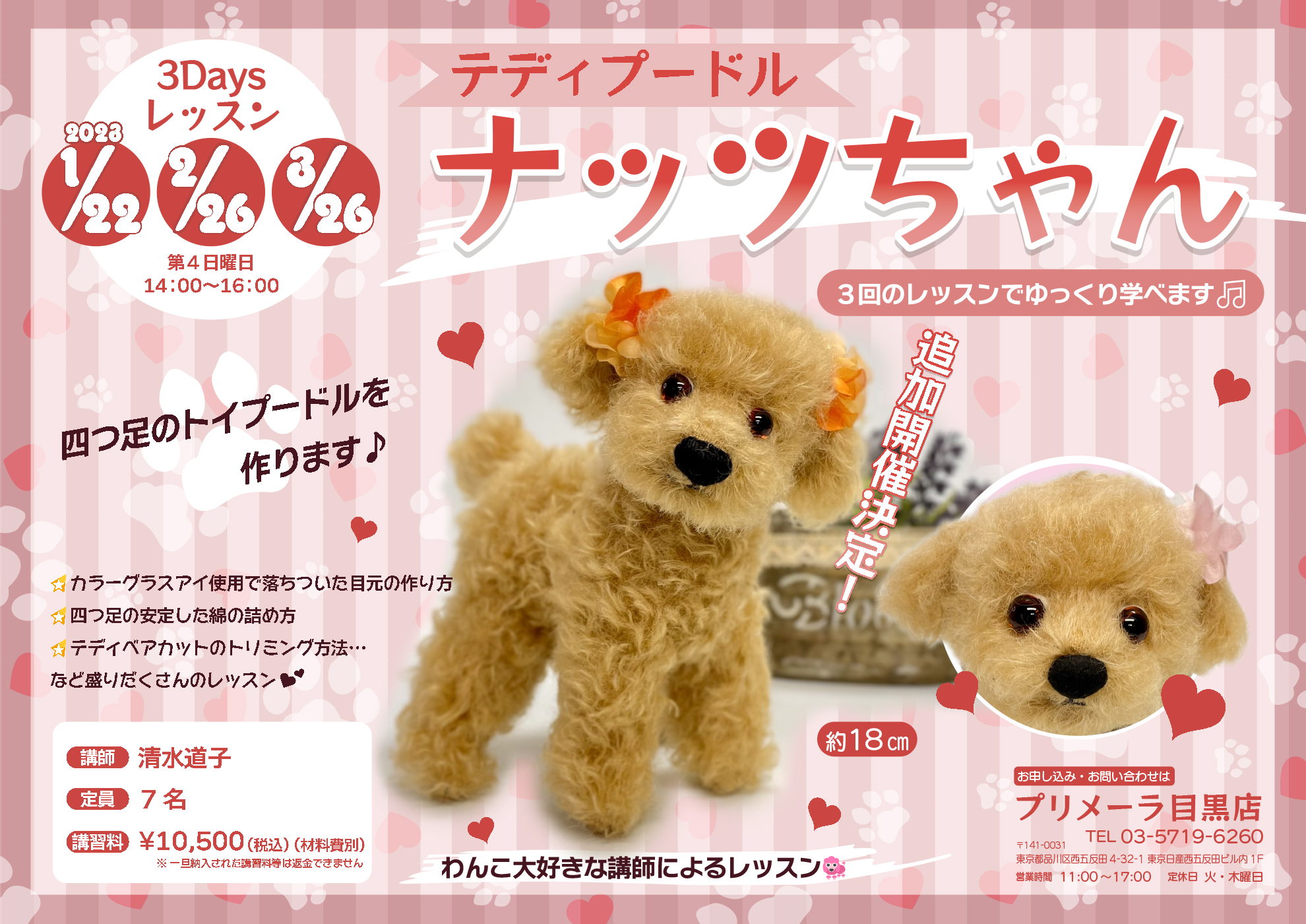 プードル好きさんのための一緒にお出かけバッグ付きテディプードル