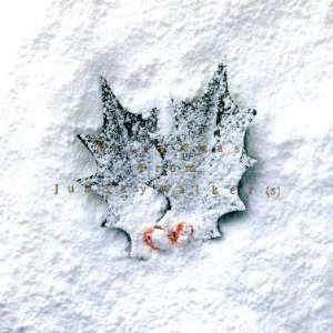 白いクリスマス / JUN SKY WALKER(S)の歌詞（白いクリスマス収録