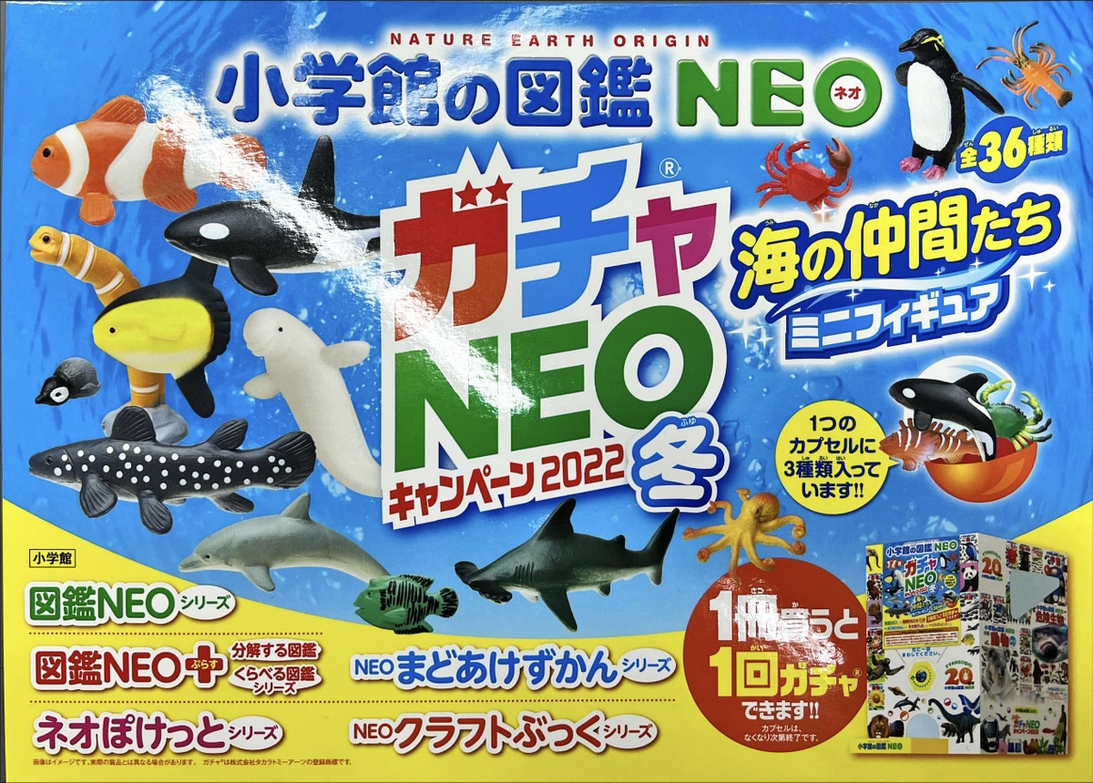 小学館の図鑑NEOキャンペーン2022冬 第2弾 | 白石書店 ｜ 医学書